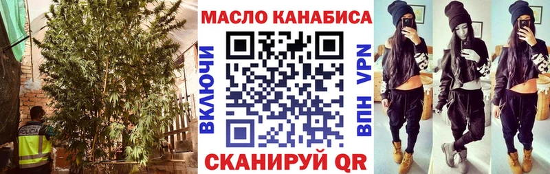 Купить закладки  Ефремов  Дистиллят ТГК гашишное масло 