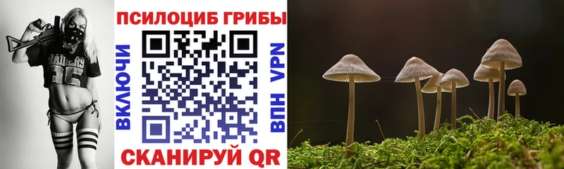 Галлюциногенные грибы Psilocybe  Купить закладки  Ефремов 