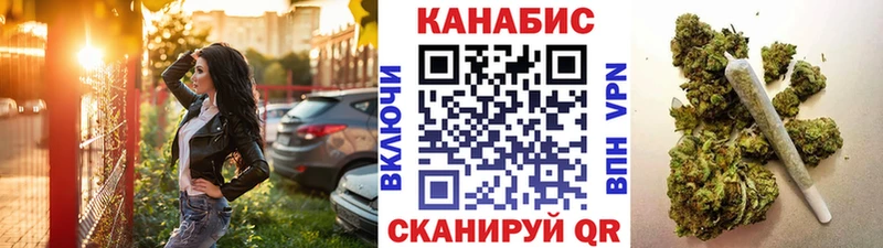 Купить закладки  Ефремов  Каннабис сатива 